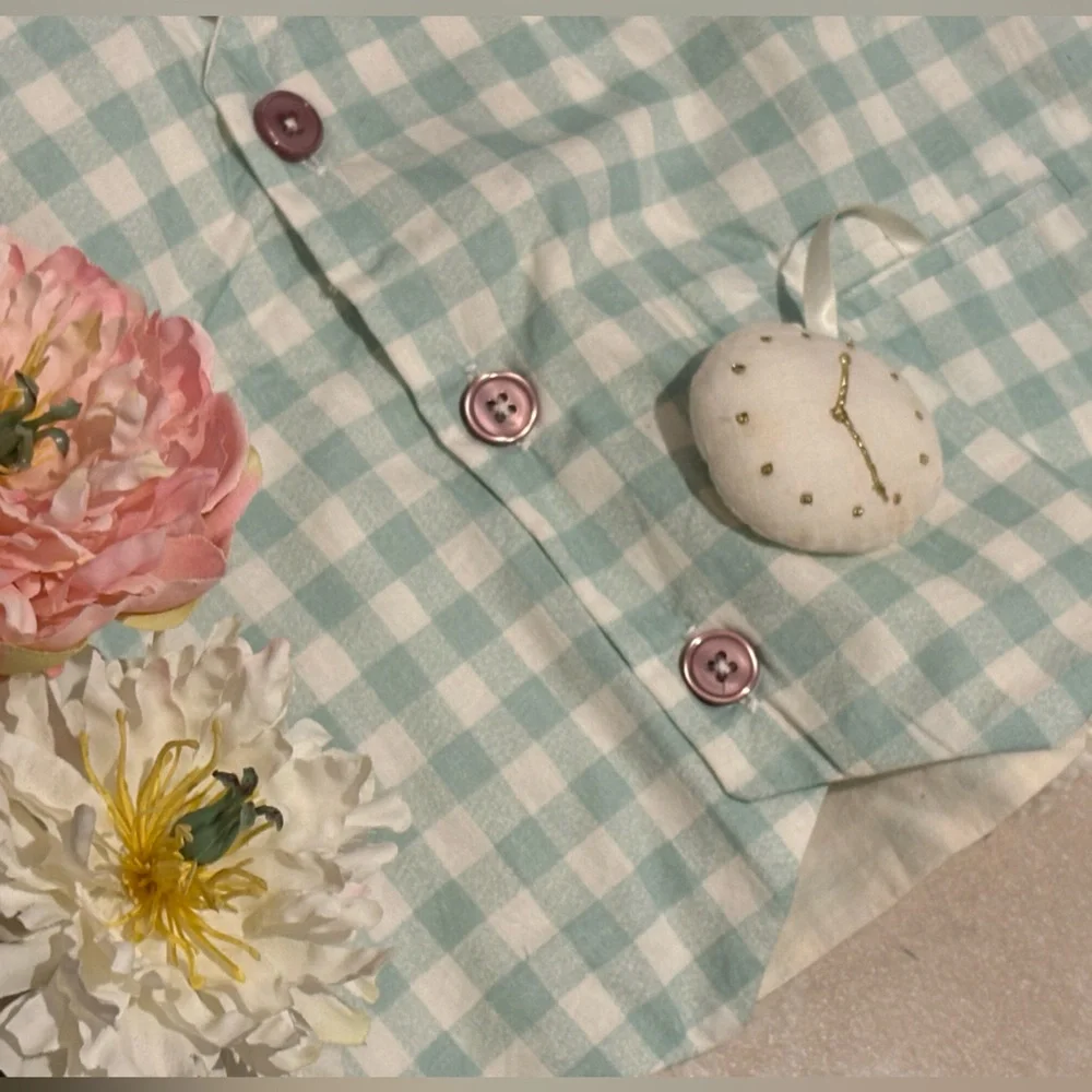 🐰Meri Meri Dusty Mint Gingham 2-Piece Bunny Costume Vest & Ears Set O/S